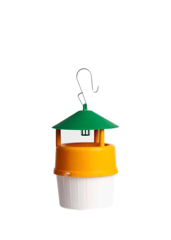 Trappola Funnel Árbol