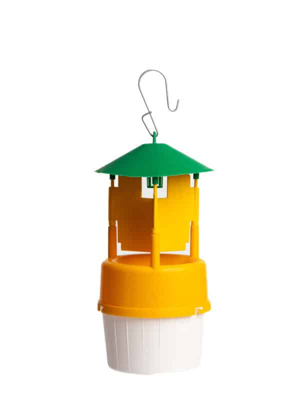 Trappola Funnel Barrera Árbol