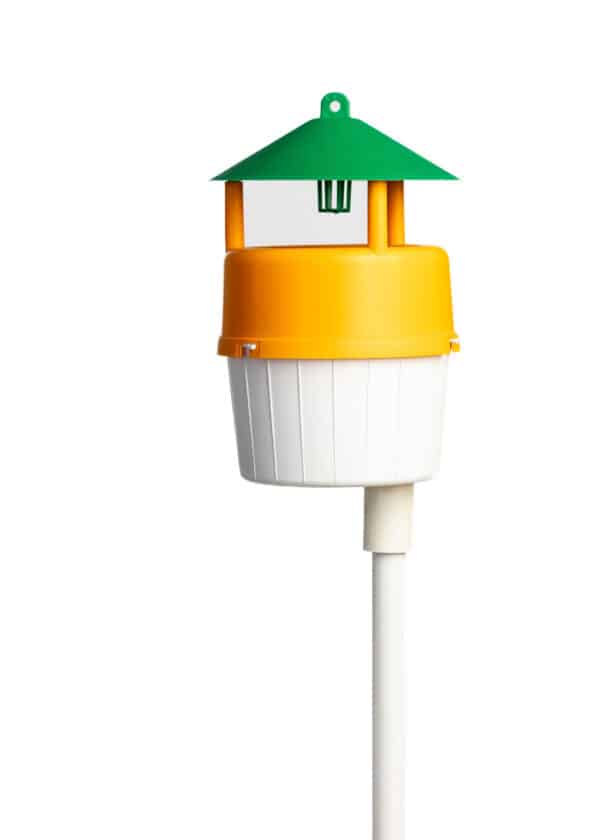 Trappola Funnel Suelo