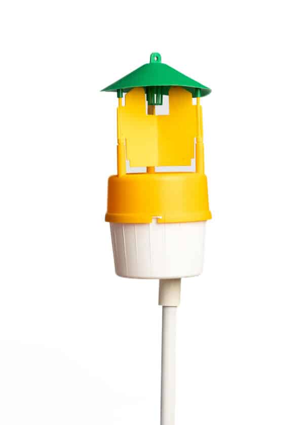 Trappola Funnel Barrera Suelo